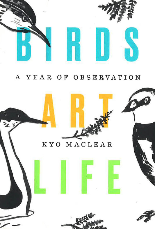 Birds, Art, Life: A Year Of Observation