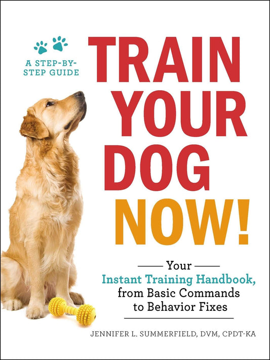 Train Your Dog Now