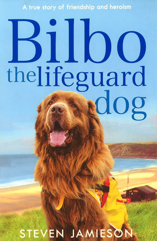 Bilbo The Lifeguard Dog