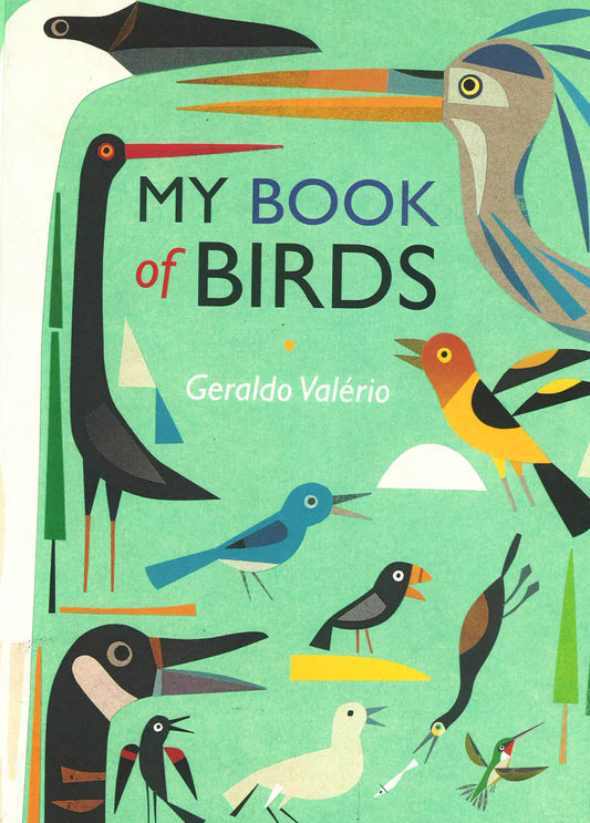 My Book Of Birds