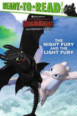 The Night Fury And The Light Fury
