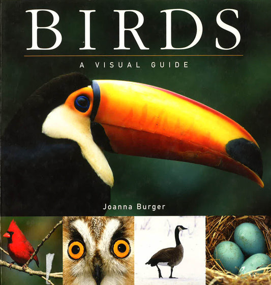 Birds: A Visual Guide