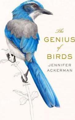 The Genius Of Birds