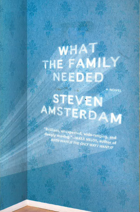 What The Family Needed: A Novel