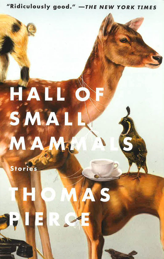 Hall Of Small Mammals: Stories