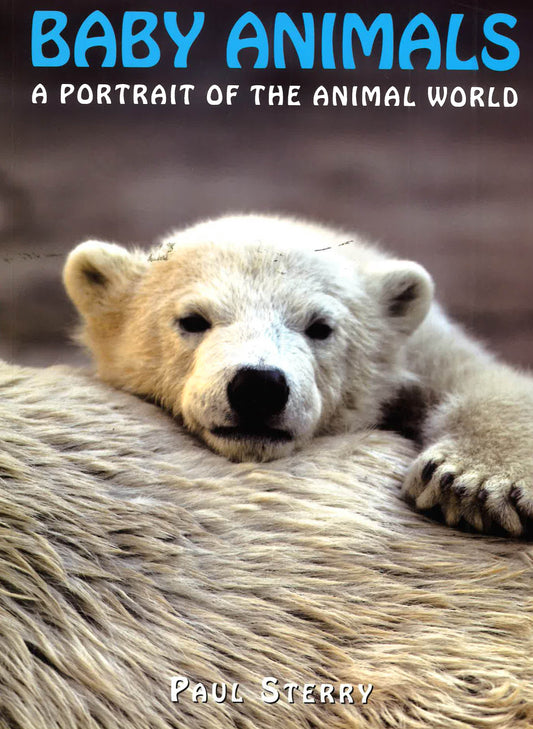 Baby Animals: A Portrait Of The Animal World