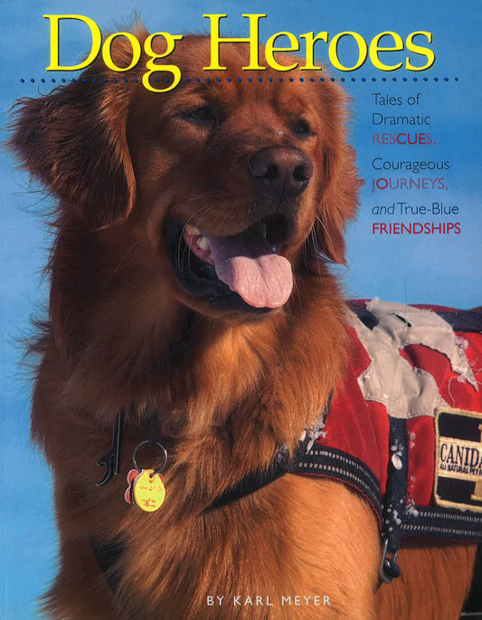 Dog Heroes