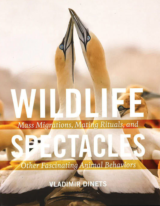 Wildlife Spectacles: Mass Migrations, Mating Rituals, And Other Fascinating Animal Behaviors