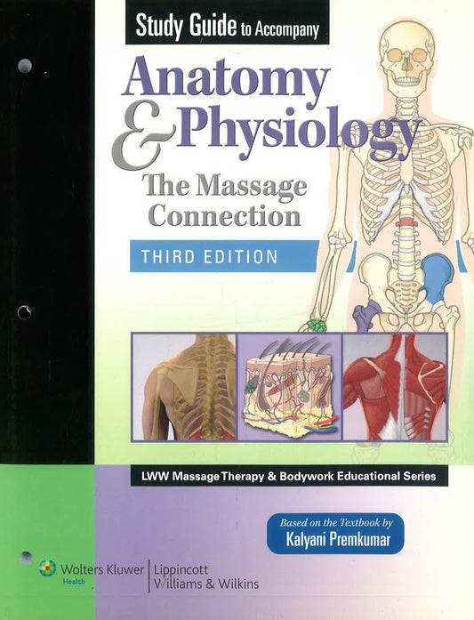 [Bargain Corner] Study Guide To Accompany Anatomy & Physiology The Massage Connection #3