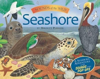 Sounds Of The Wild : Seashore