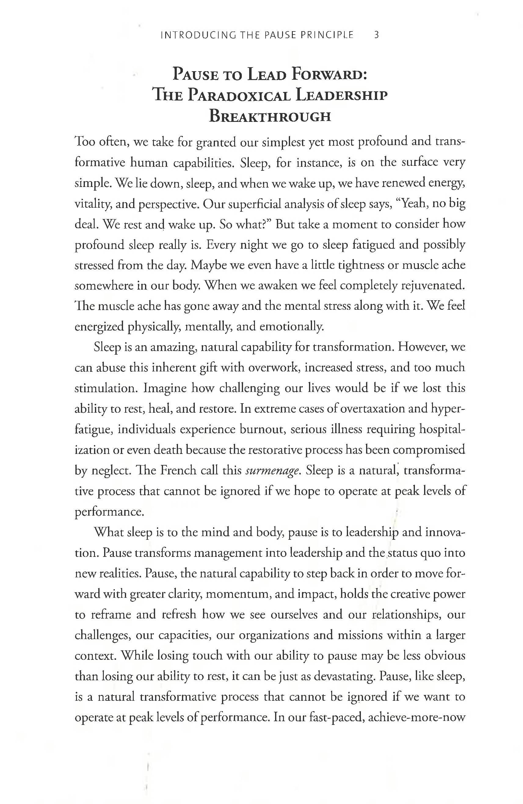 The Pause Principle – BookXcess