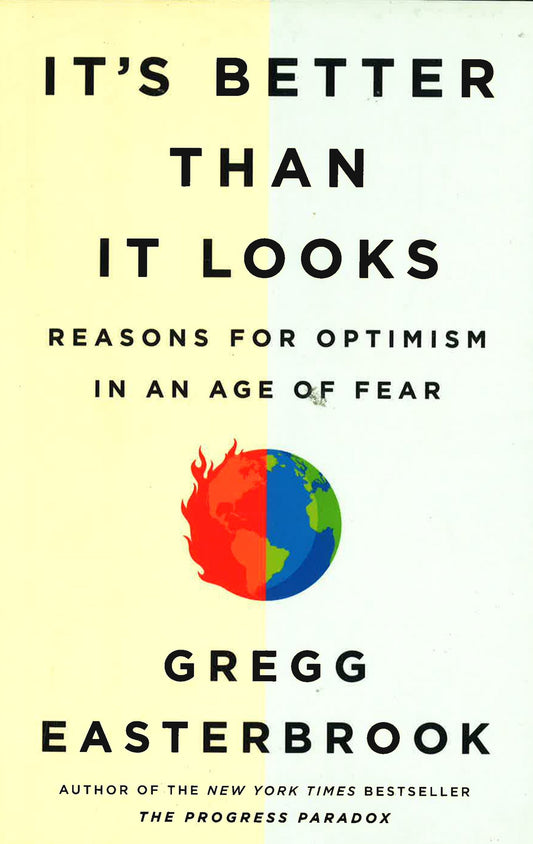It's Better Than It Looks: Reasons For Optimism In An Age Of Fear