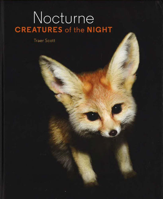 Nocturne Creatures Of The Night
