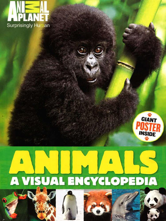 Animals - A Visual Encyclopedia
