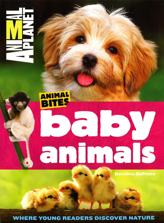 Animal Planet - Baby Animals