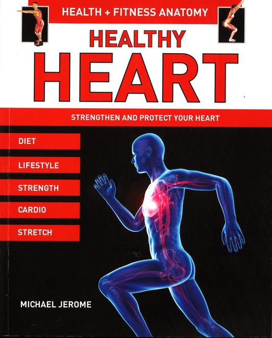 Health + Fitness Anatomy: Healthy Heart