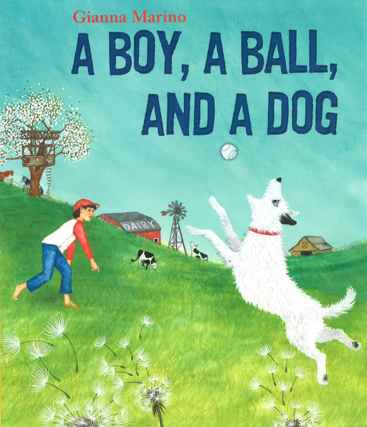A Boy, A Ball And A Dog