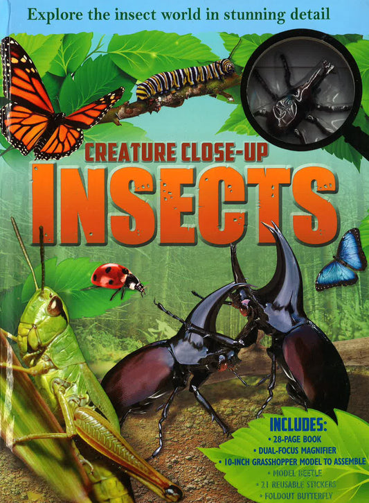 Creature Close Up: Insects