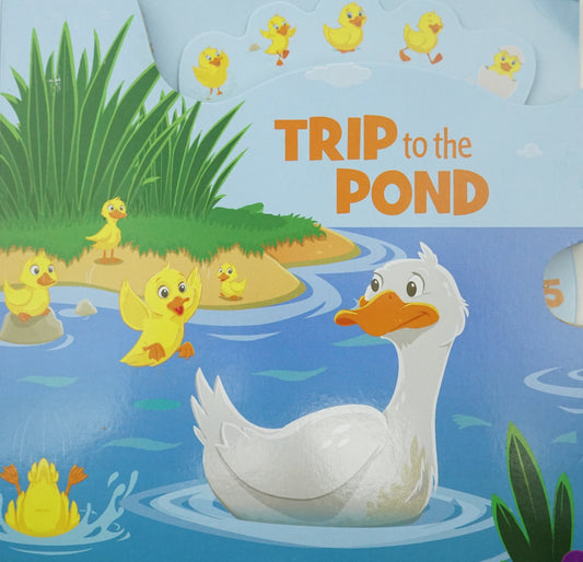 Trip To The Pond