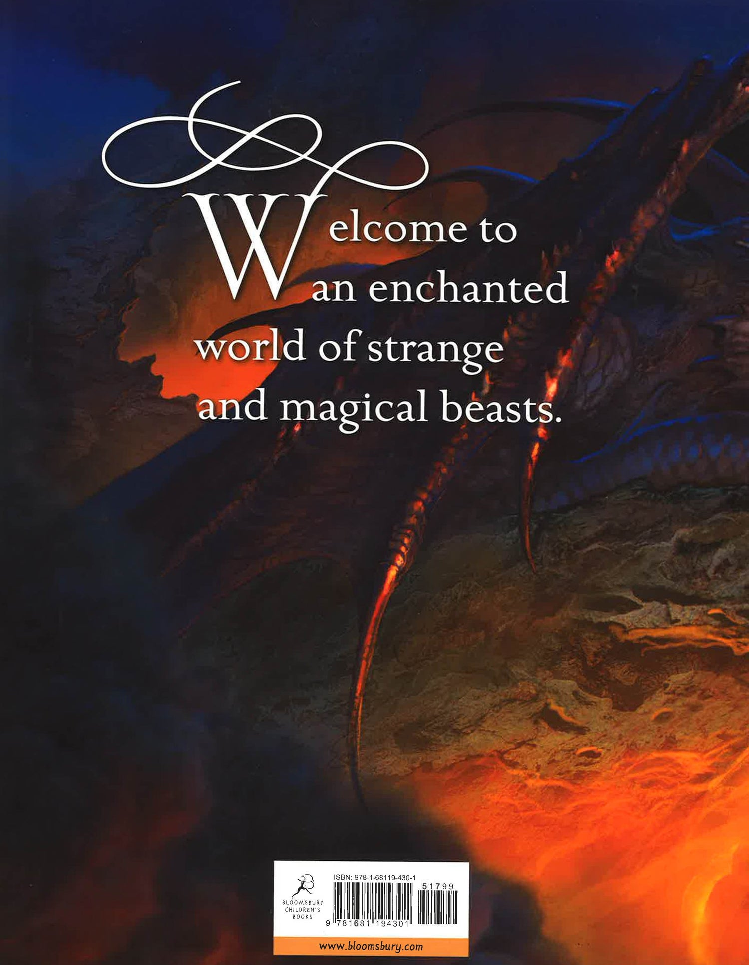 Magic Beasts Book Magnificent Magical Beasts – BookXcess