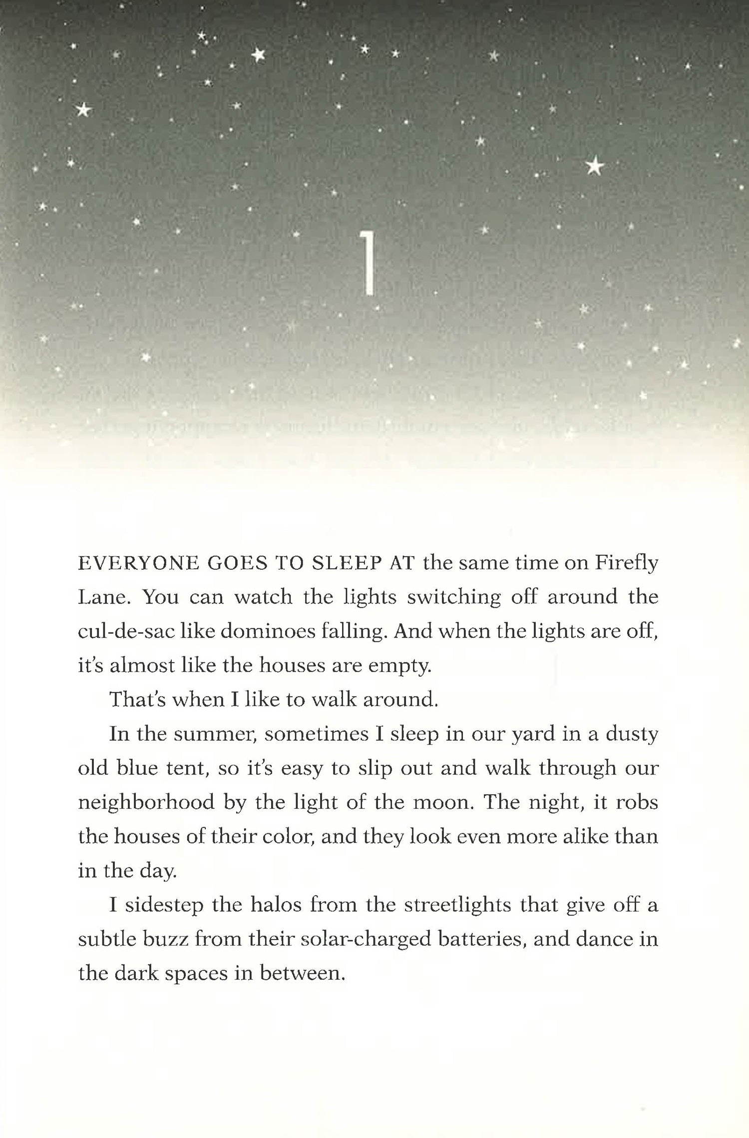 The Firefly Code – BookXcess
