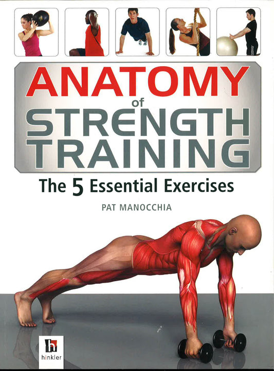 Anatomy Of Strength Training
