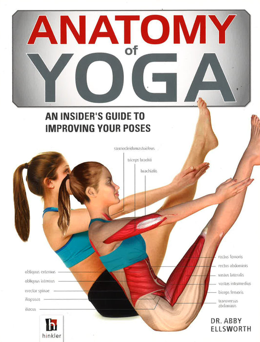 Anatomy Of Yoga