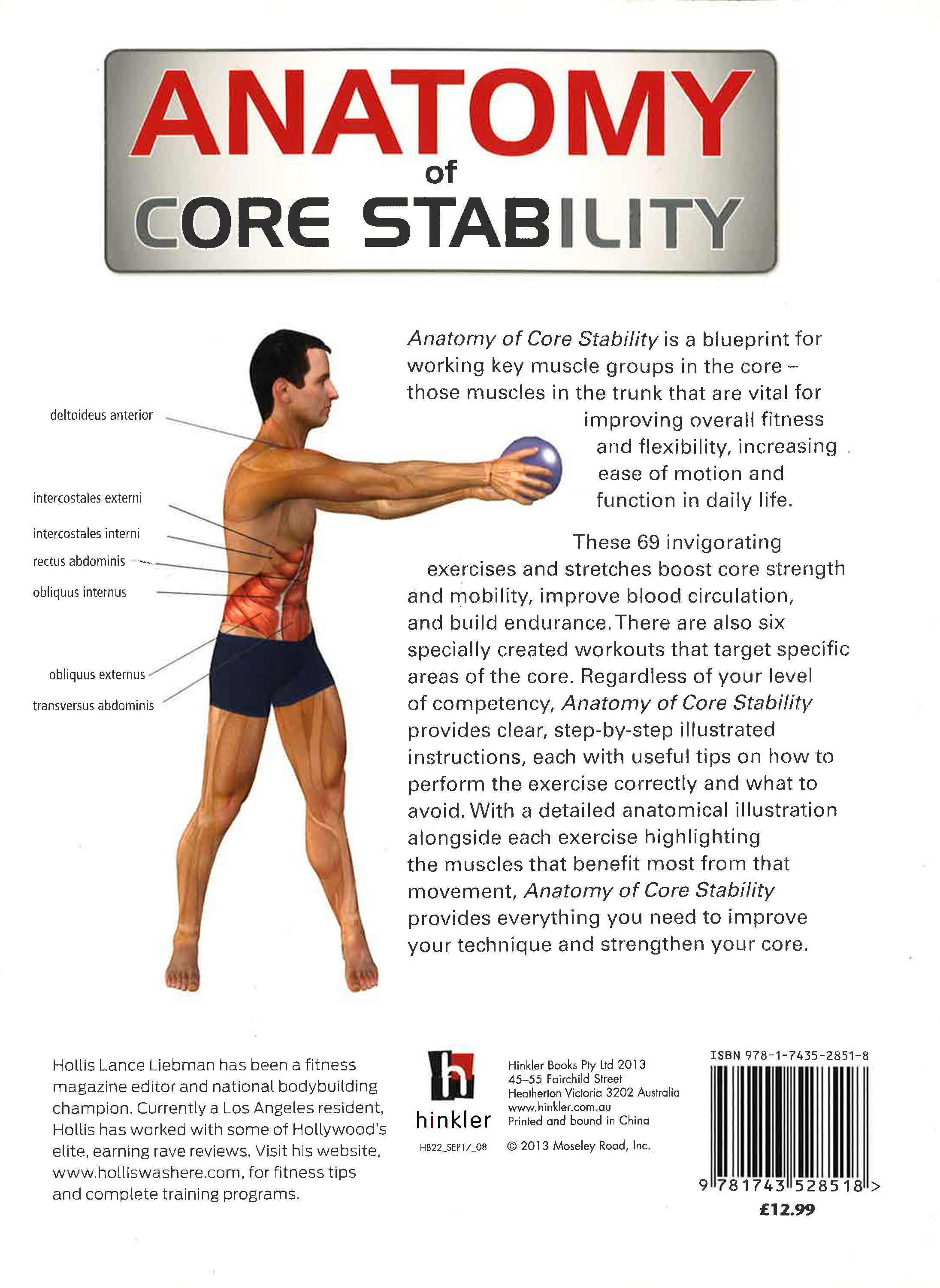 Core Stability Overview Anatomy Of Core Stability – BookXcess