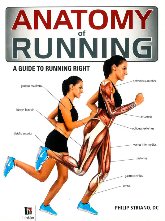 Anatomy Of Running