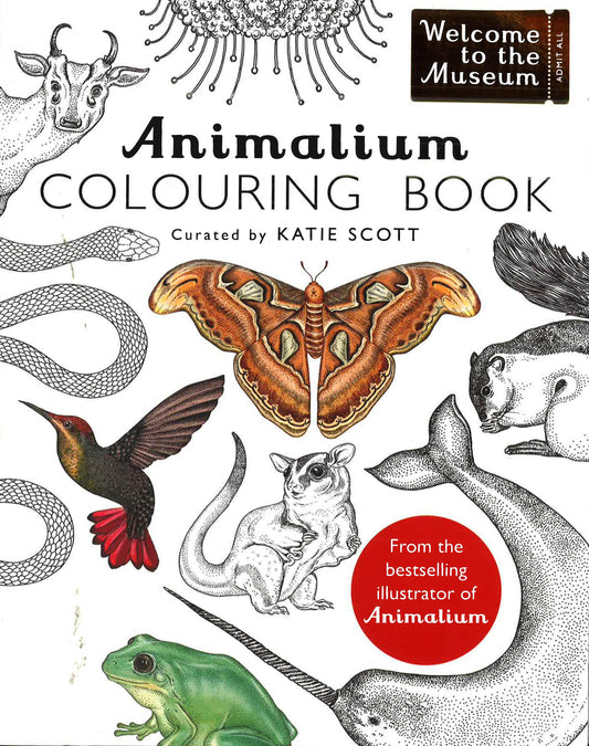 Animalium Colouring Book