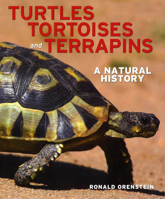 Turtles, Tortoises And Terrapins: A Natural History