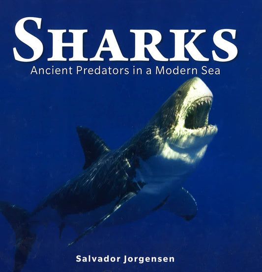 Sharks: Ancient Predators In A Modern Sea