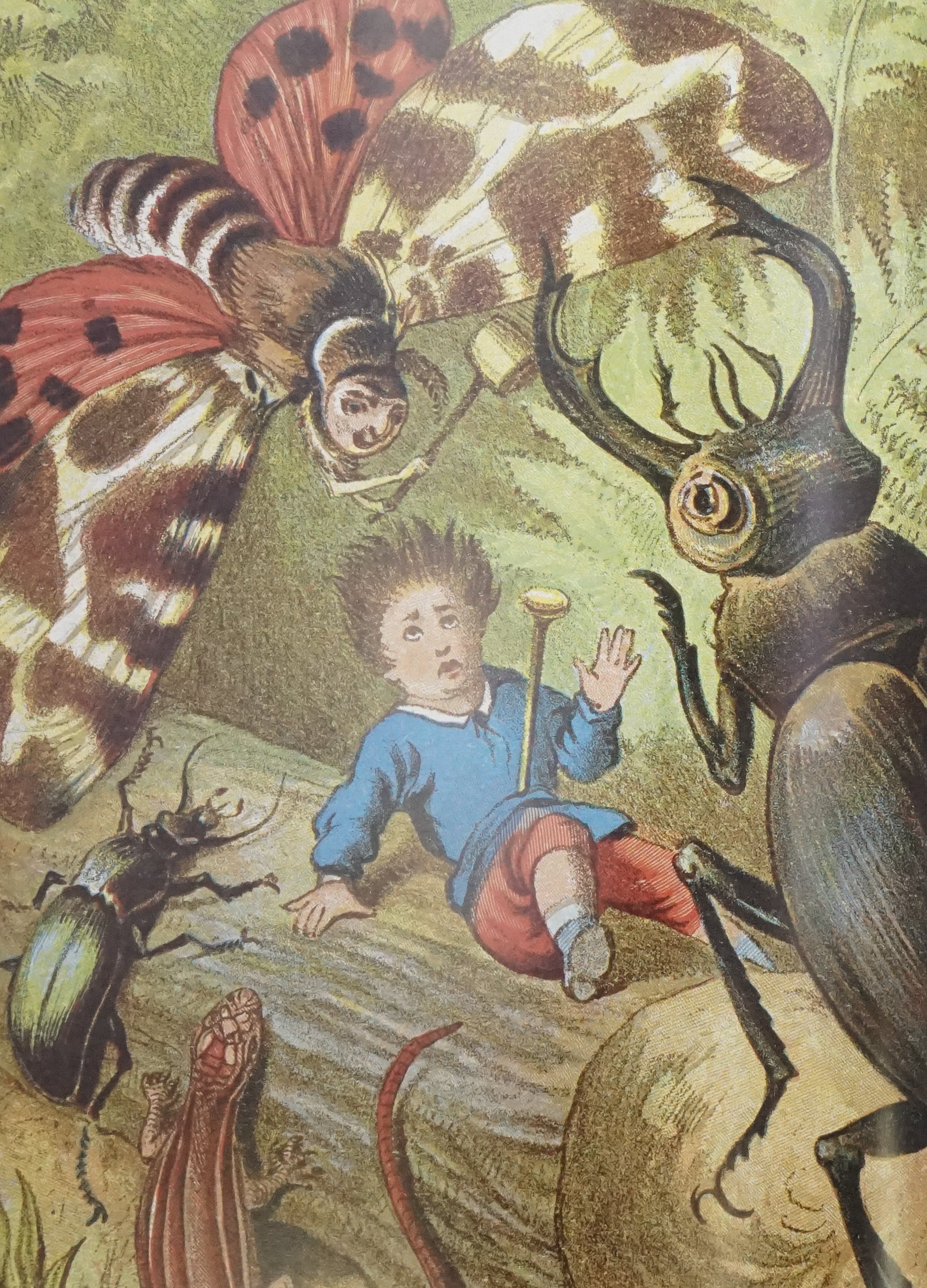 Translation missing: en.sections.featured_product.gallery_thumbnail_alt
