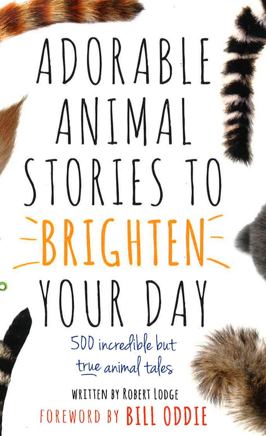 Adorable Animal Stories To Brighten Your Day
