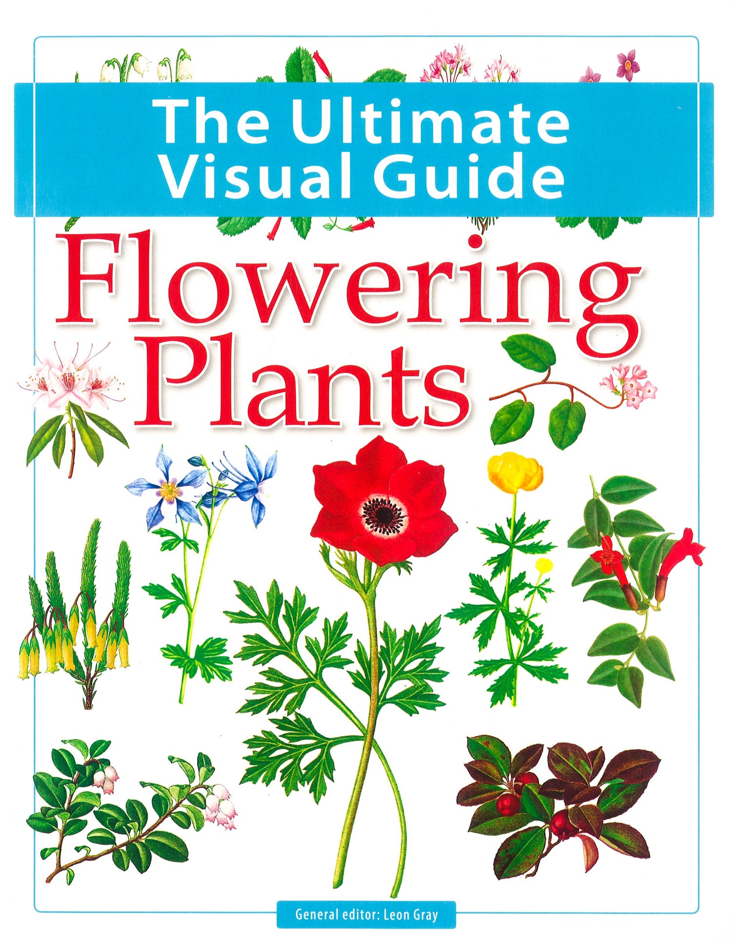 Flower Guide.pdf The Ultimate Visual Guide - Flowering Plants – BookXcess