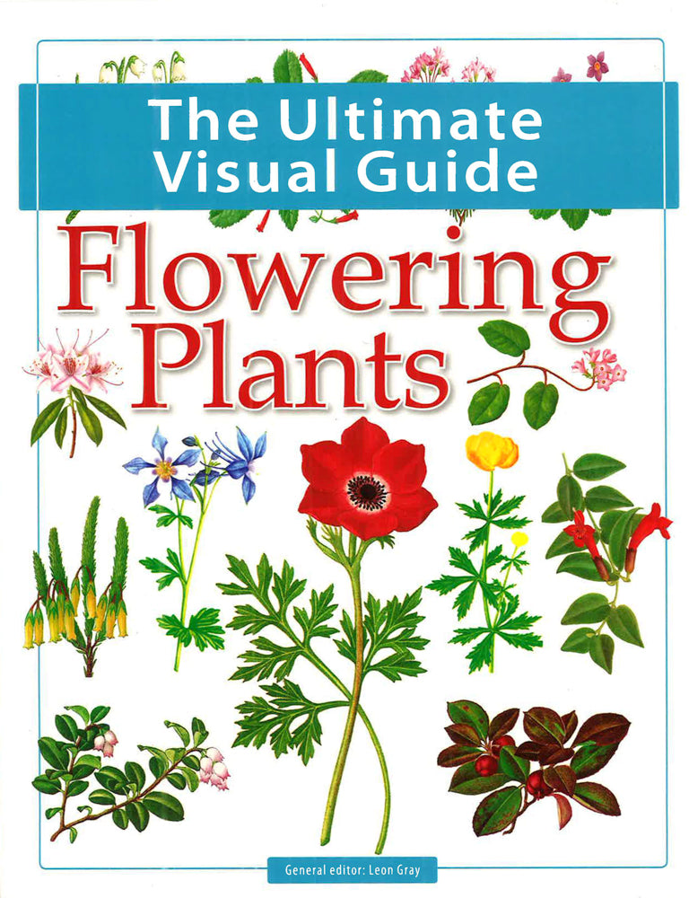 The Ultimate Visual Guide - Flowering Plants – BookXcess
