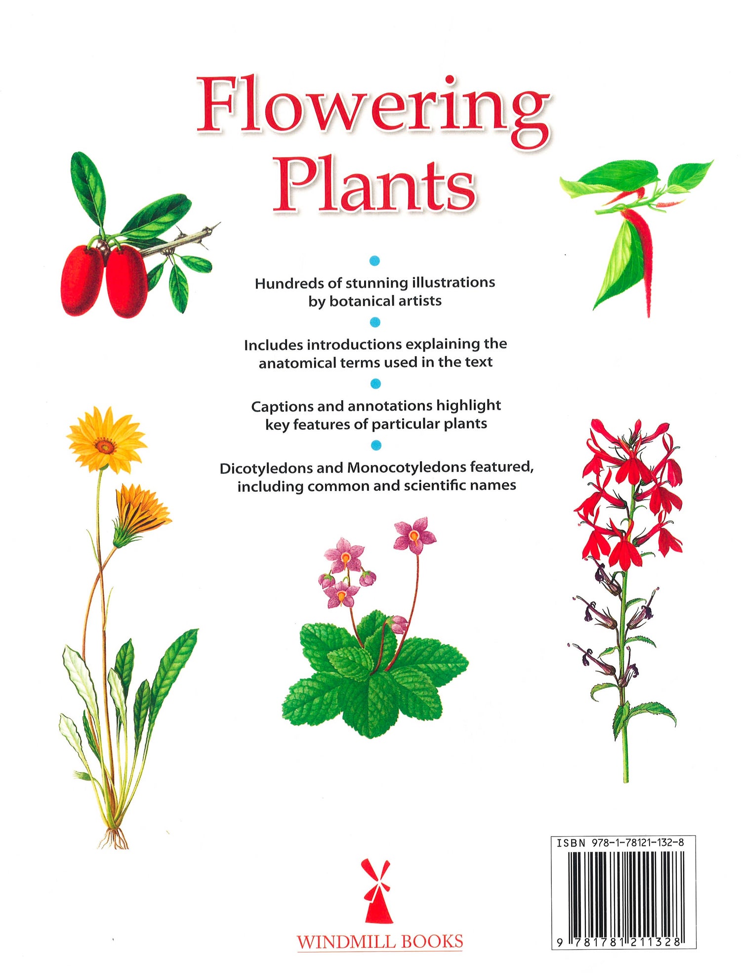 Flower Guide.pdf The Ultimate Visual Guide - Flowering Plants – BookXcess