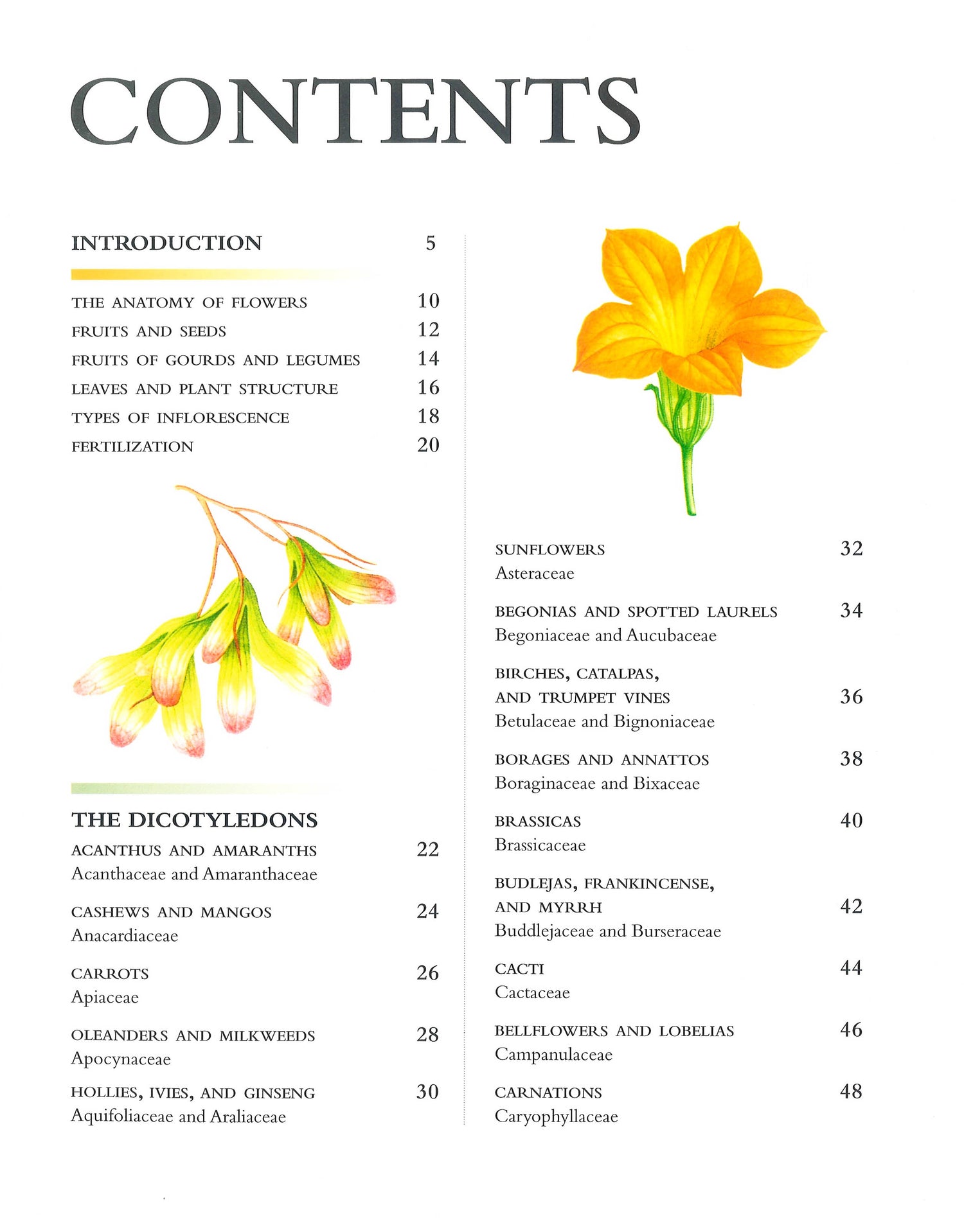 Flower Guide.pdf The Ultimate Visual Guide - Flowering Plants – BookXcess