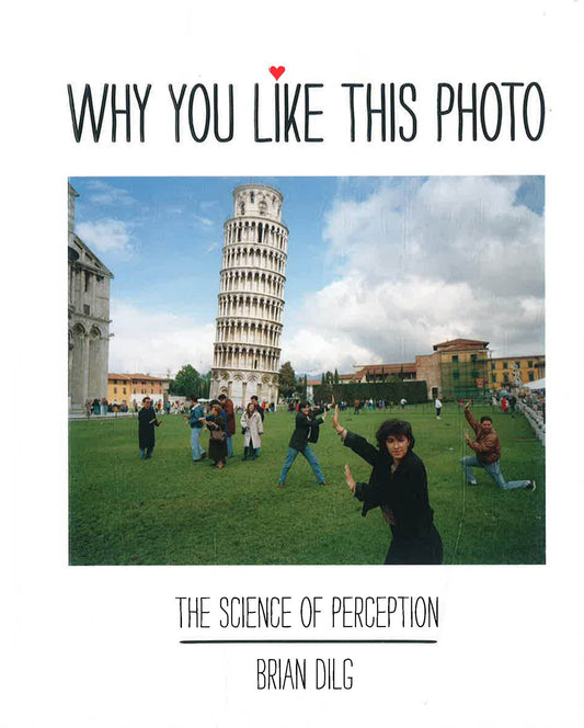 Why You Like This Photo: The Science Of Perception