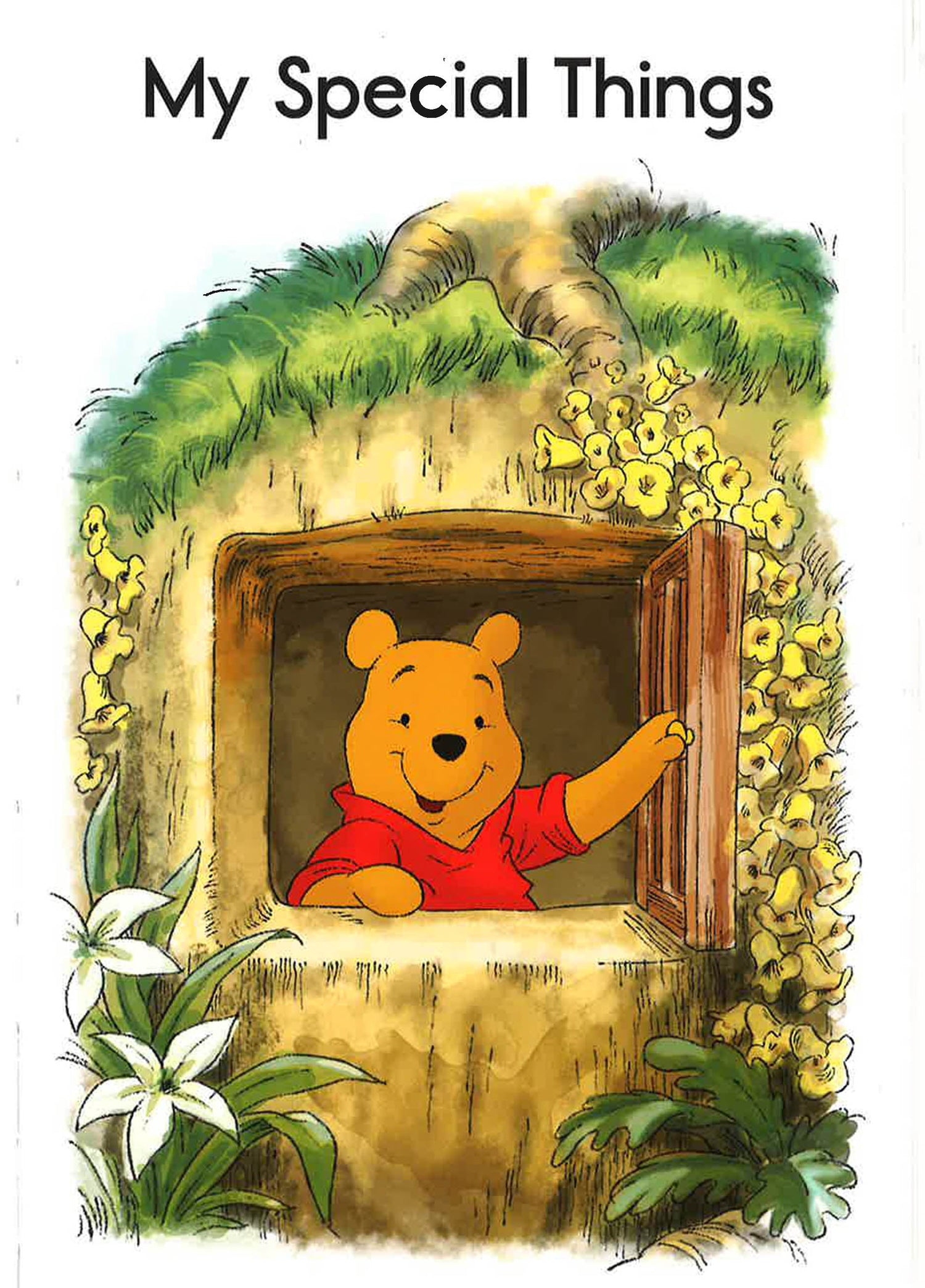 Disney Adventures In Reading Level Pre1 For Boys Winnie The Pooh I