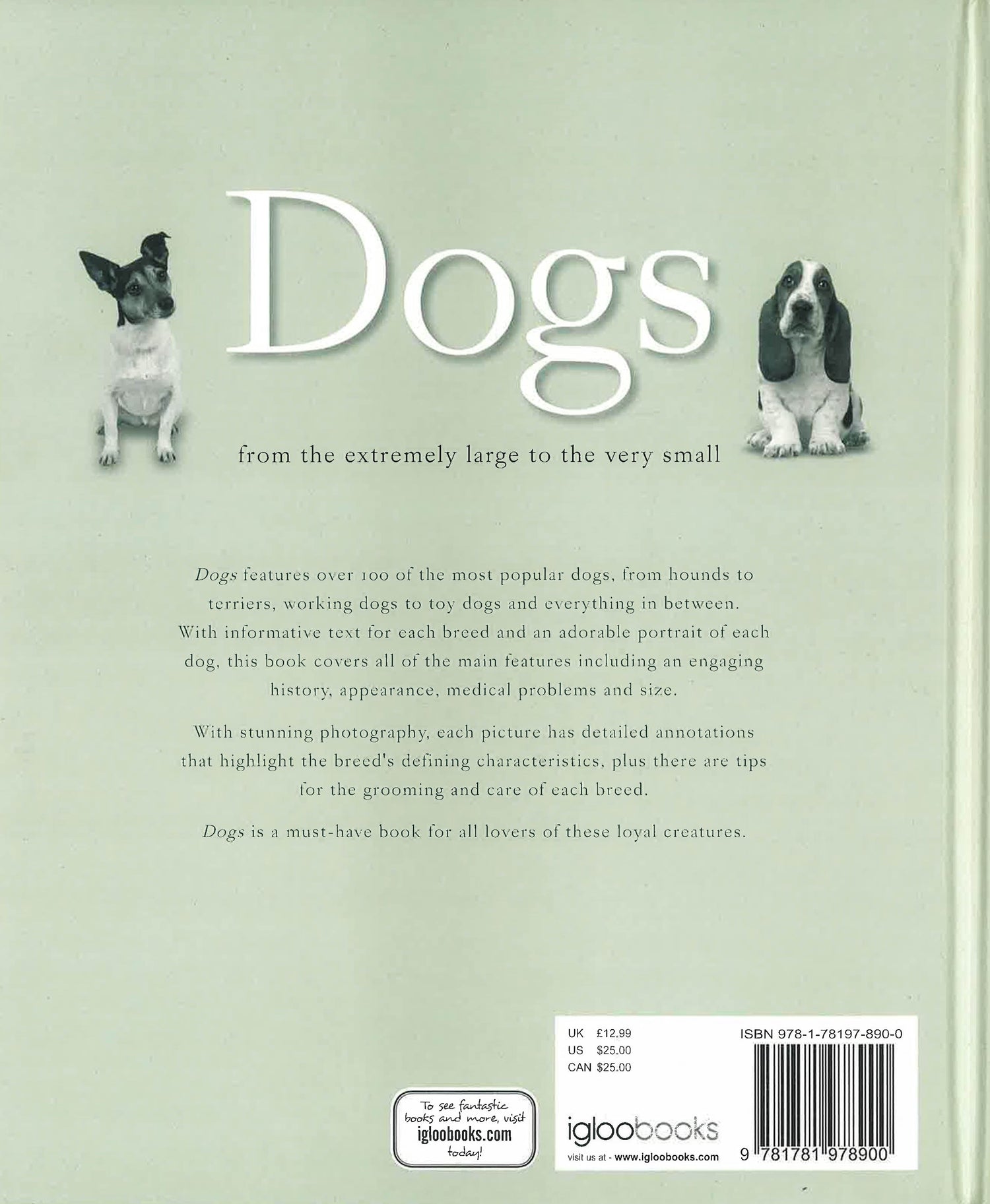 Chain Dogs Book Dogs – BookXcess