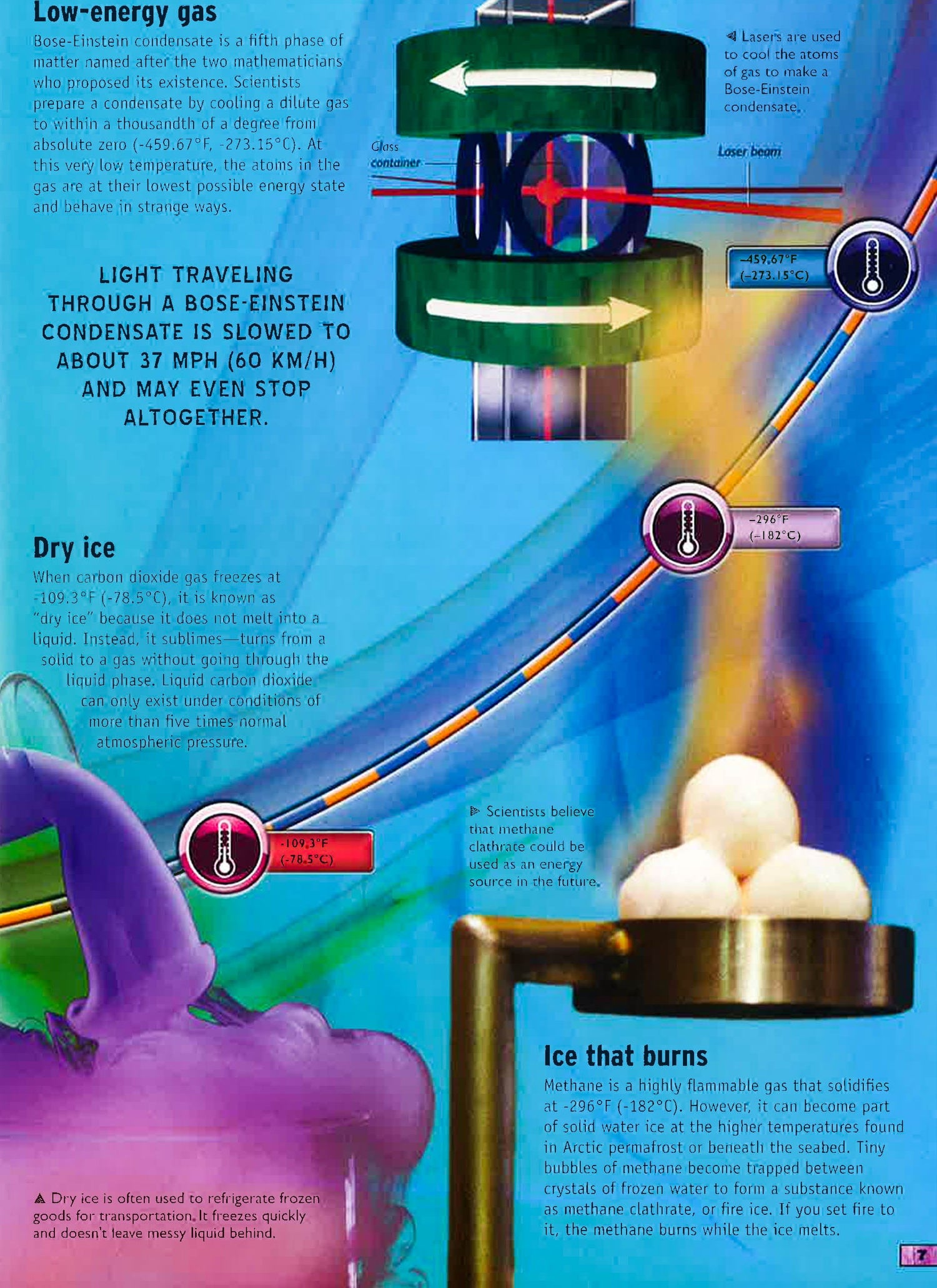 Wilf Science Example Wild Science – BookXcess