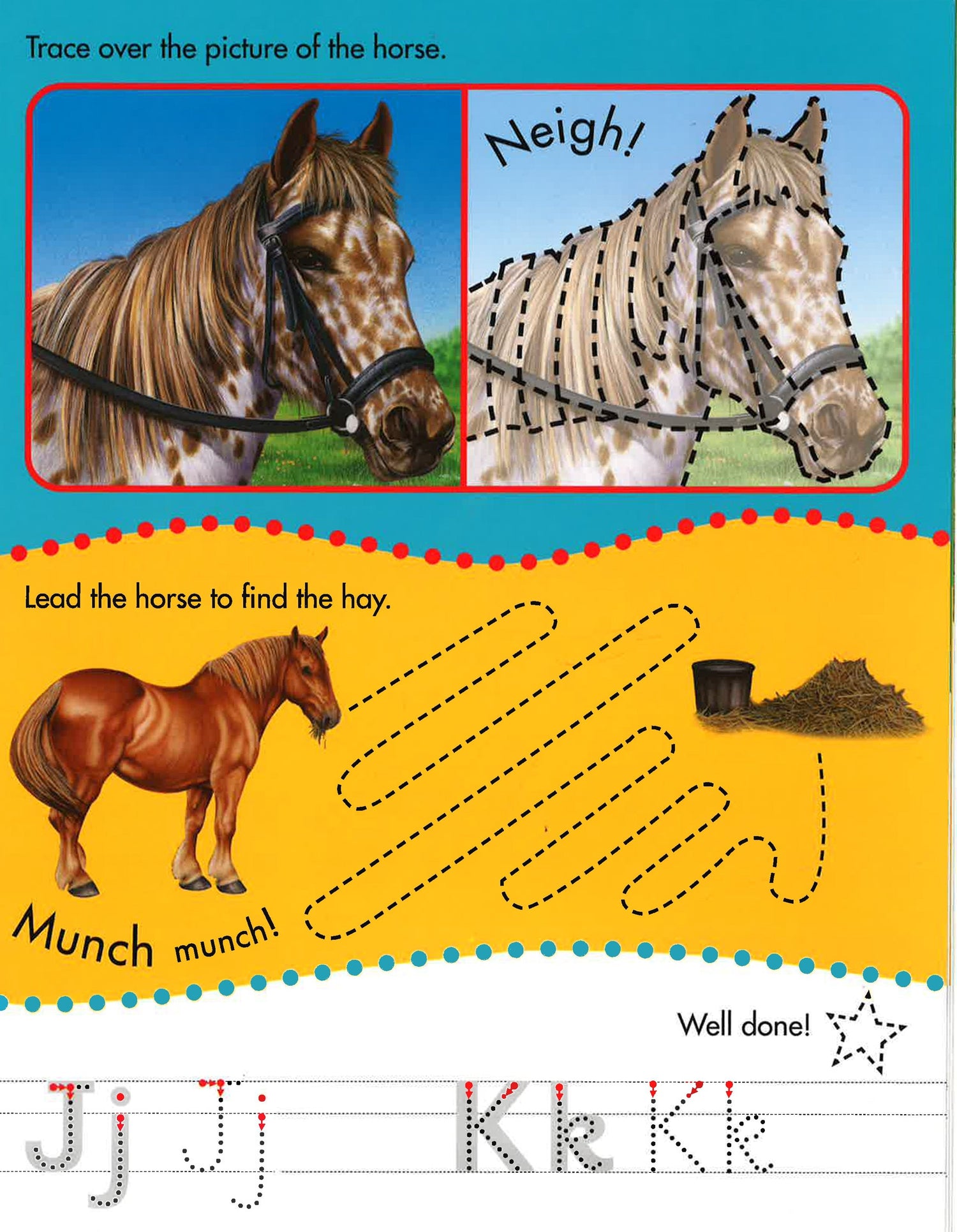 Learn To Write Horses – BookXcess