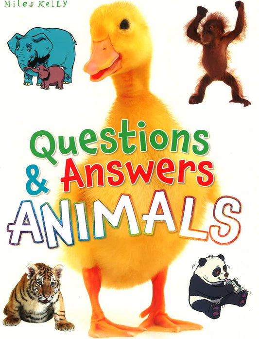 Questions And Answers Animals