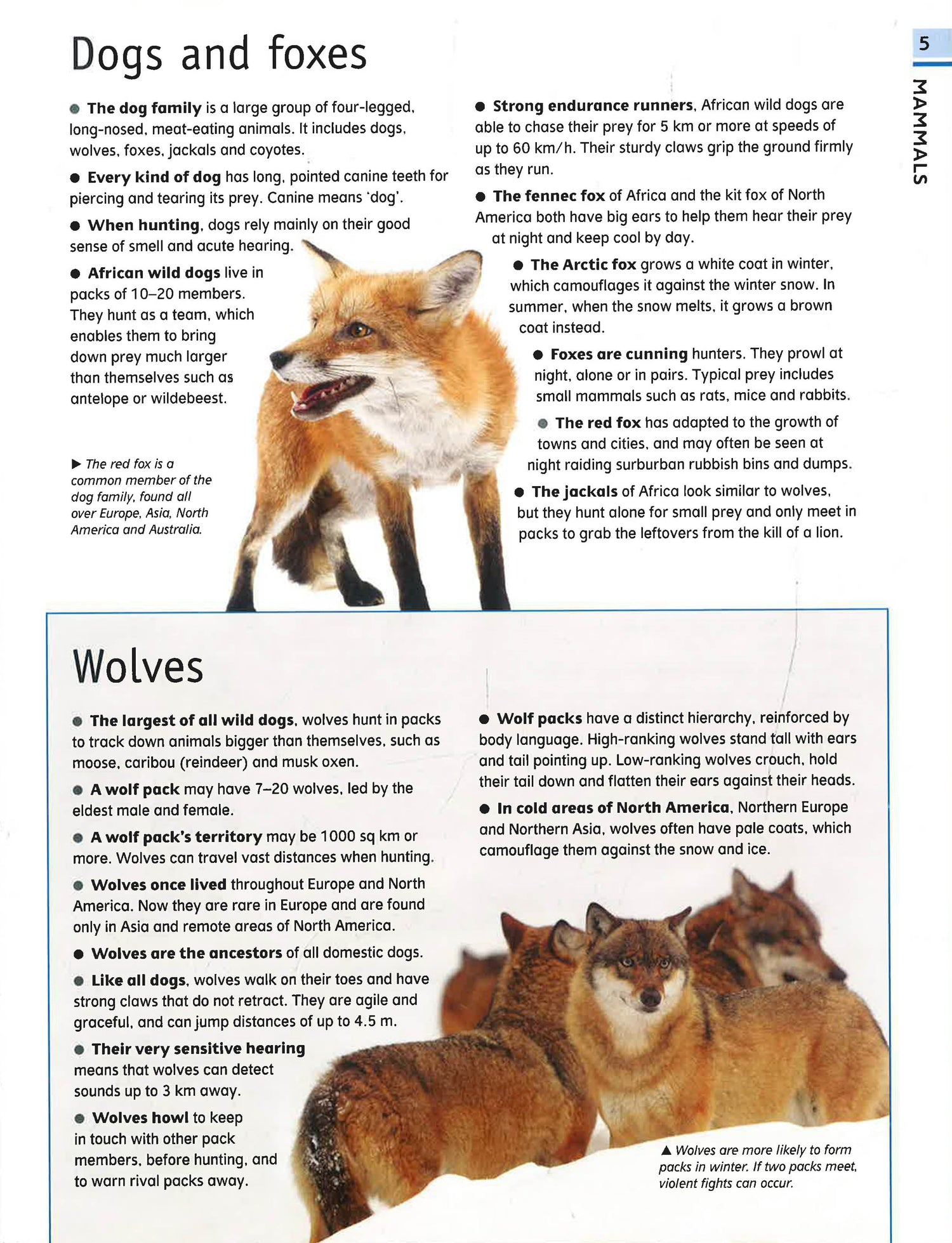 Animal Guide Example The Ultimate Guide Animal – BookXcess
