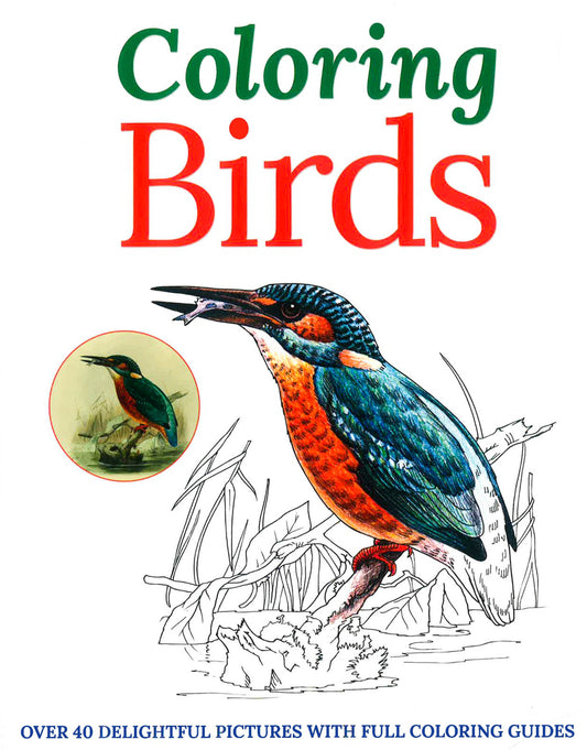 Colouring Birds