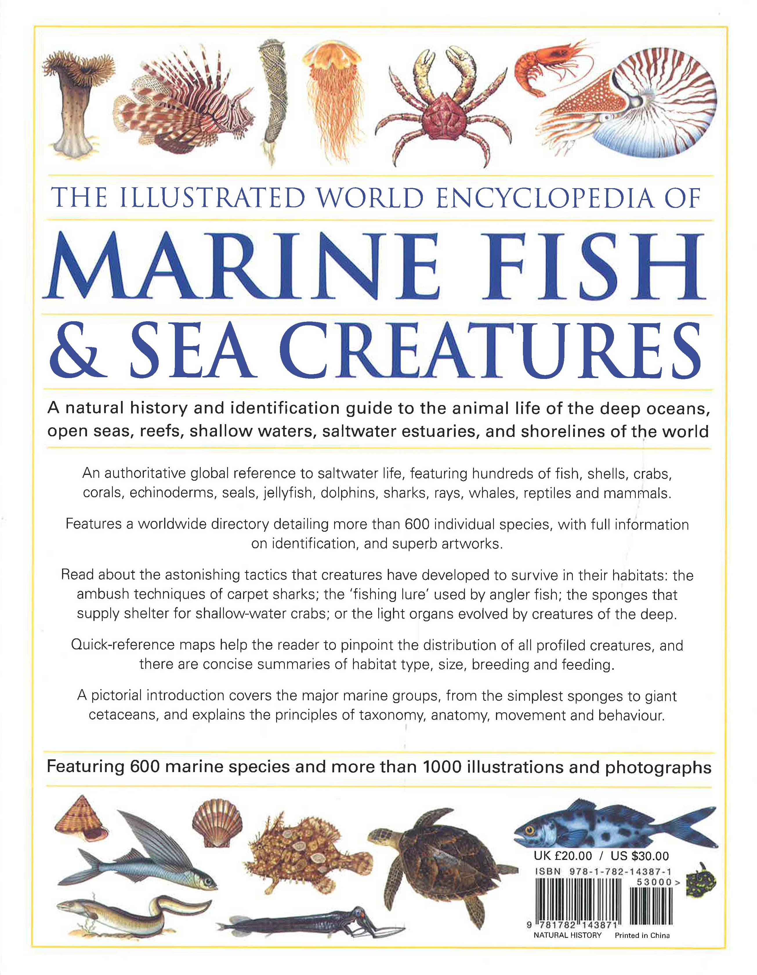 The Illustrated World Encyclopedia Of Marine Fish & Sea Creatures ...