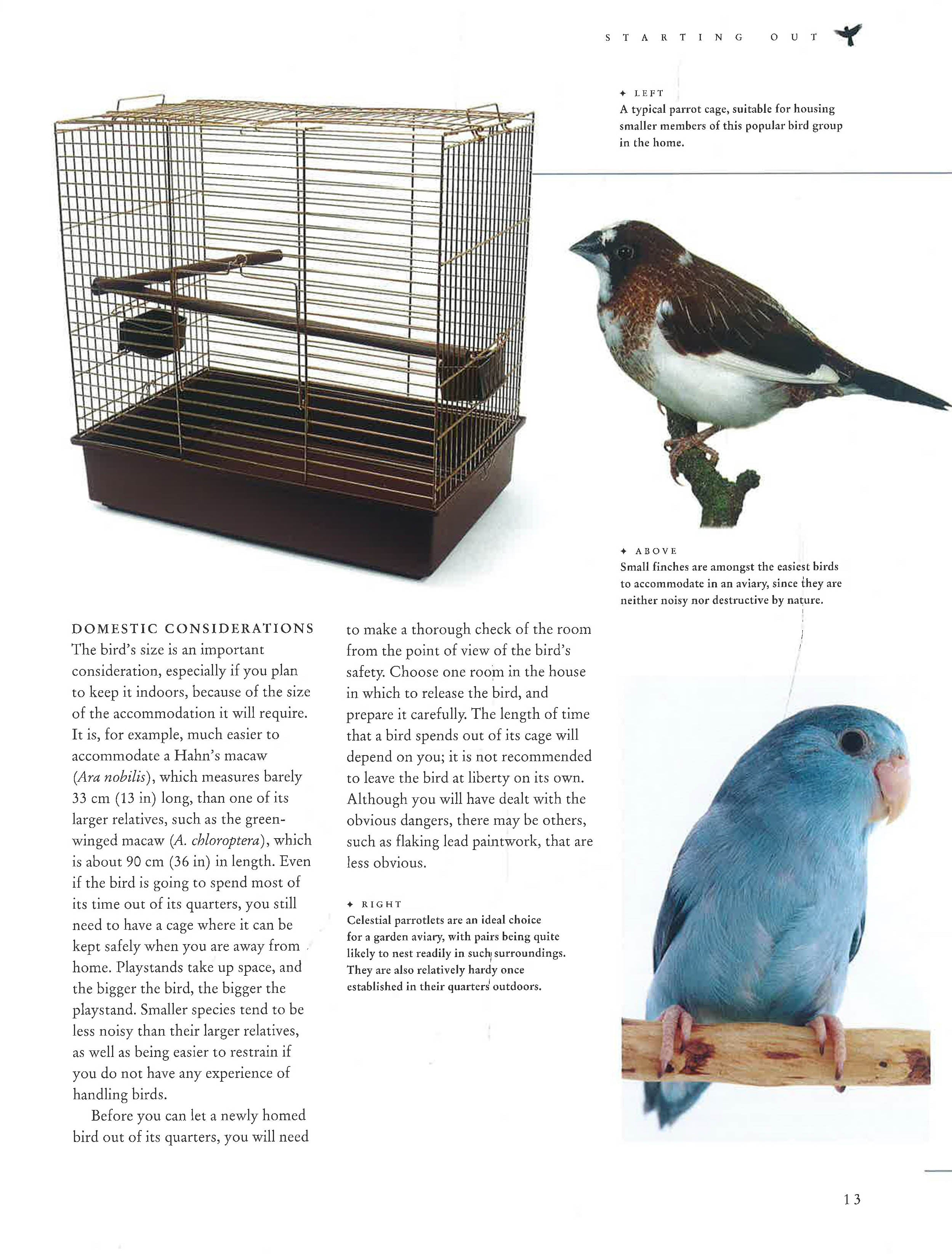 The Ultimate Encyclopedia Of Caged & Aviary Birds – BookXcess