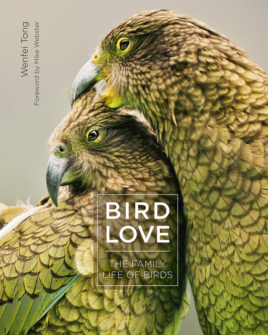 Bird Love: The Family Life Of Birds