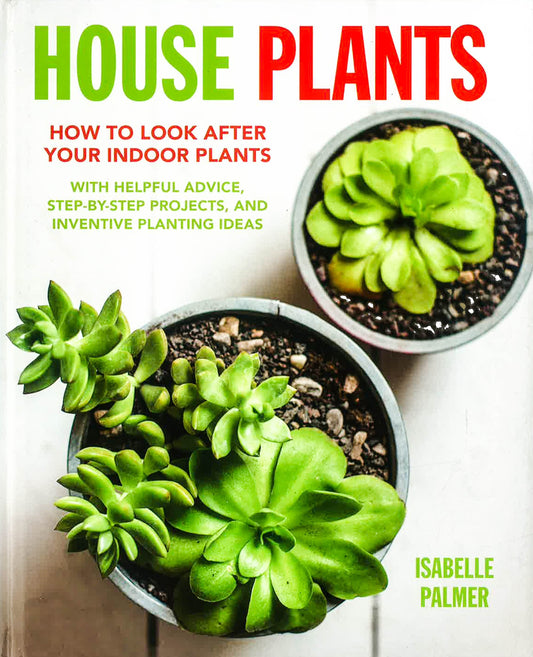 House Plants: How To Look After Your Indoor Plants